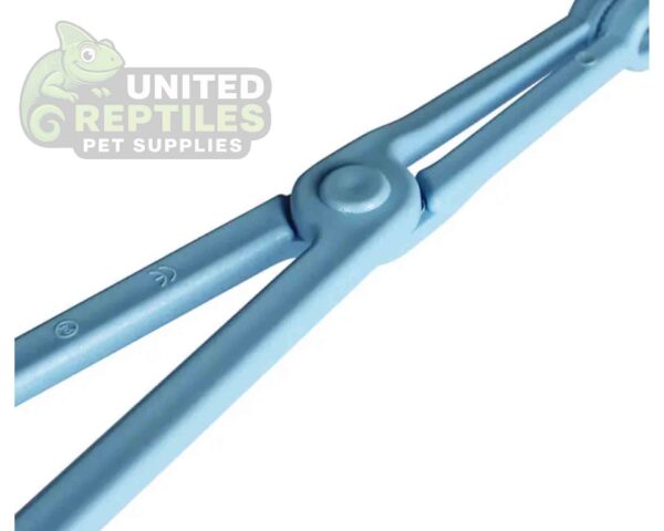 abstract hexagonal shape with lizard inside Nomoy Plastic Tweezers