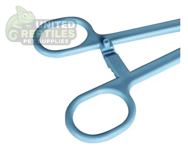 abstract hexagonal shape with lizard inside Nomoy Plastic Tweezers