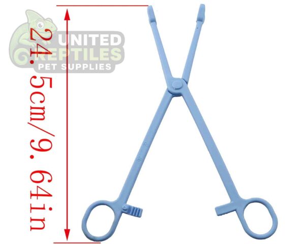 abstract hexagonal shape with lizard inside Nomoy Plastic Tweezers