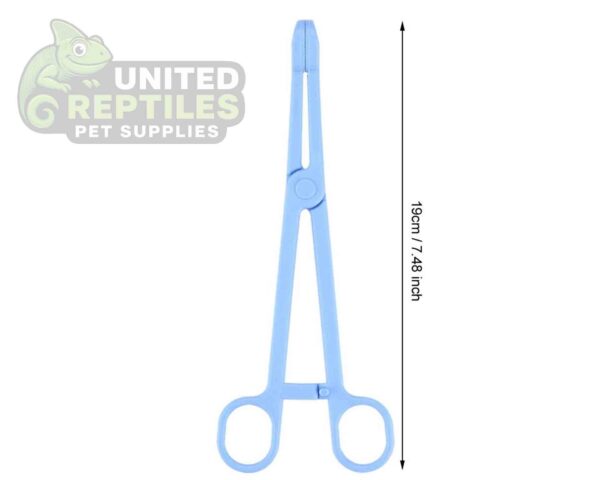 abstract hexagonal shape with lizard inside Nomoy Plastic Tweezers