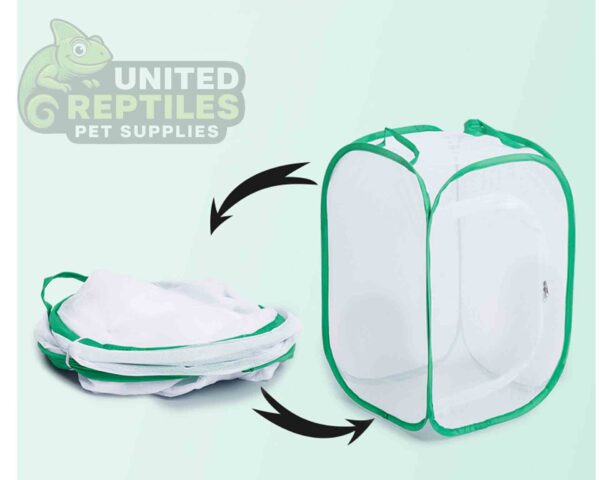 Foldable Insect Cage