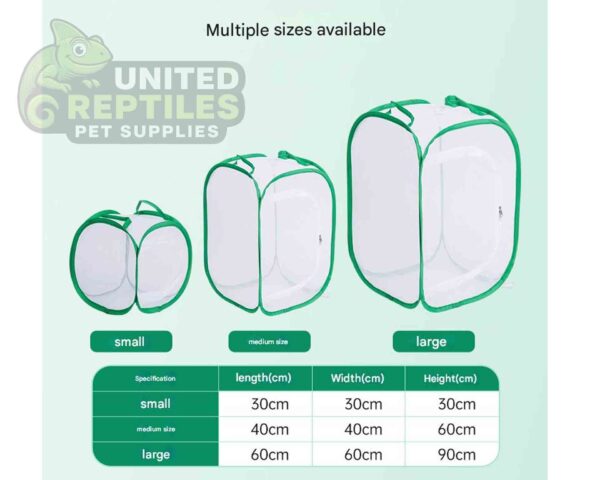 Foldable Insect Cage