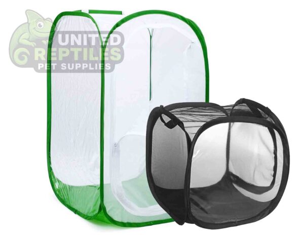 Foldable Insect Cage