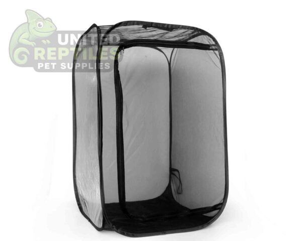 Foldable Insect Cage
