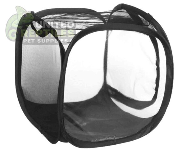 Foldable Insect Cage