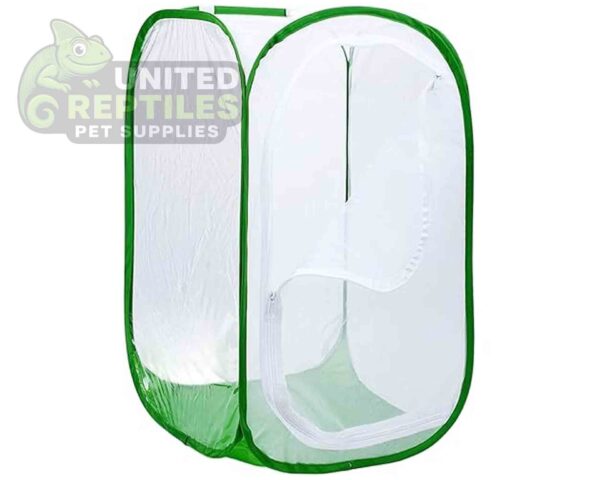 Foldable Insect Cage