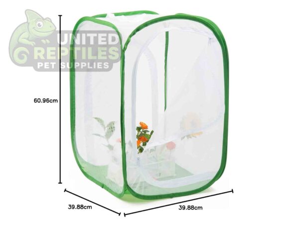 Foldable Insect Cage