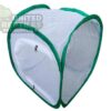 Foldable Insect Cage
