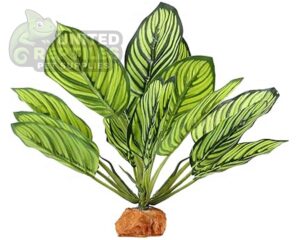 abstract hexagonal shape with lizard inside Reptile Artificial Plant JBY004