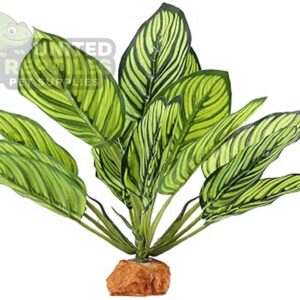 Reptile Artificial Plant JBY004