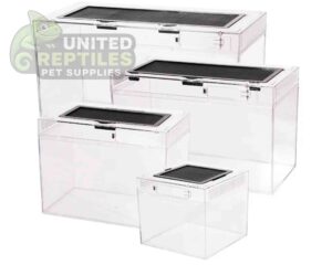 abstract hexagonal shape with lizard inside Reptile Breeding Box