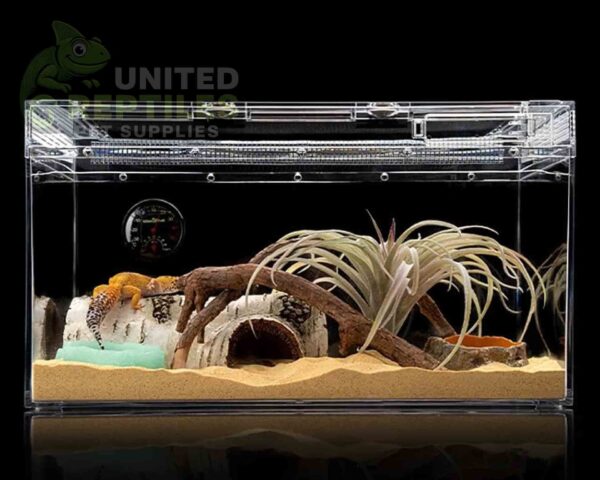 Reptile Breeding Box