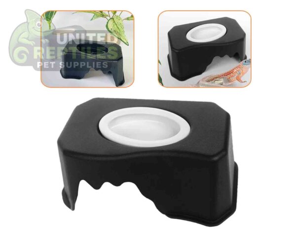 Reptile Plastic Cave with Bowl