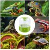 Terrarium Humidifier 2.5L