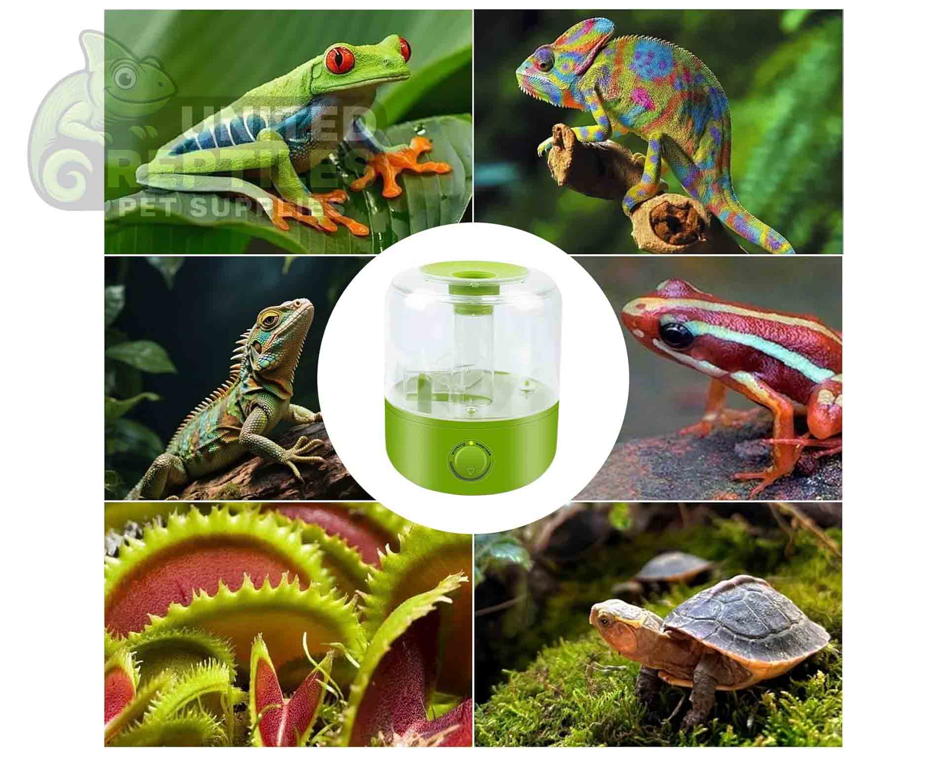 Terrarium Humidifier 2.5L - Image 10