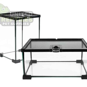 BT Terrarium-Open from the top