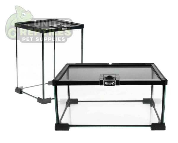 BT Terrarium-Open from the top