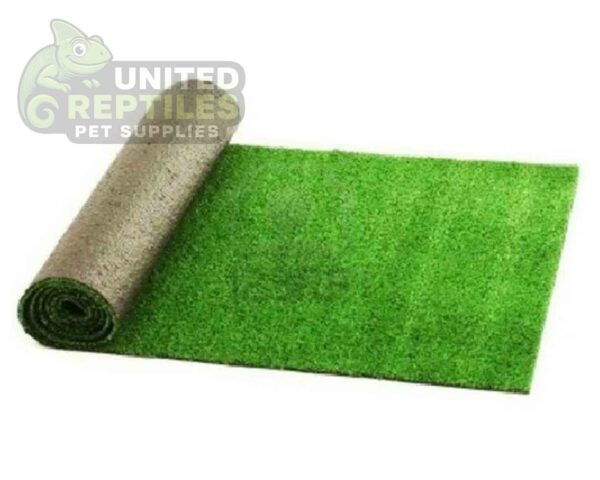 abstract hexagonal shape with lizard inside Artificial Reptile Grass / Astro Turf