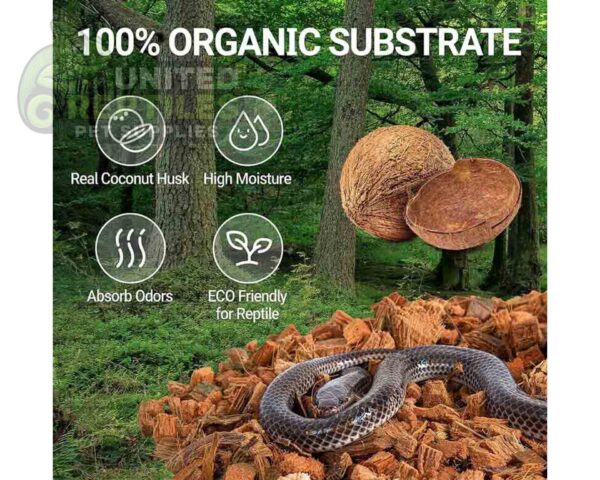 abstract hexagonal shape with lizard inside Coco Husk Brick