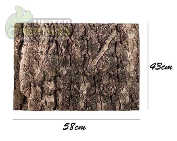 Giangarden Cork Background