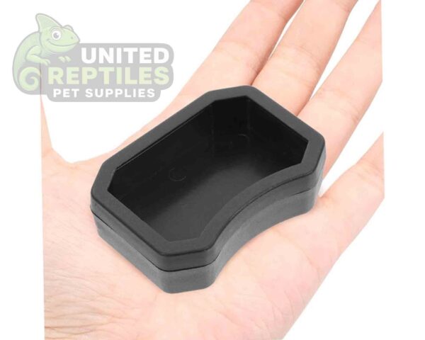 abstract hexagonal shape with lizard inside Plastic Food / Water Bowl for small Reptiles