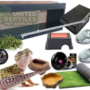 Leopard Gecko Black Complete Kit