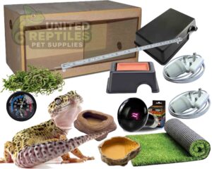Leopard Gecko Budget Complete Kit