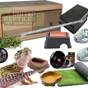Leopard Gecko Budget Complete Kit