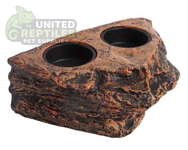 abstract hexagonal shape with lizard inside Gecko Feed Rock Magnetic Ledge