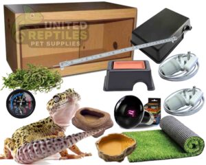 abstract hexagonal shape with lizard inside Leopard Gecko Oak Complete Kit
