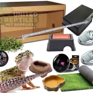 Leopard Gecko Oak Complete Kit