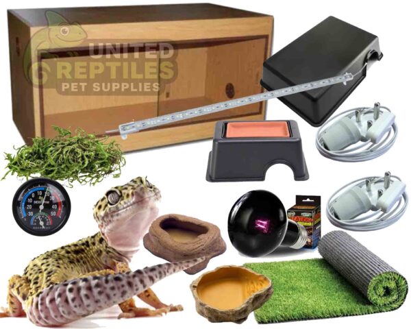 Leopard Gecko Oak Complete Kit