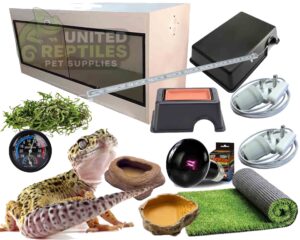 abstract hexagonal shape with lizard inside Leopard Gecko White Complete Kit