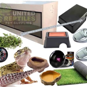 Leopard Gecko White Complete Kit