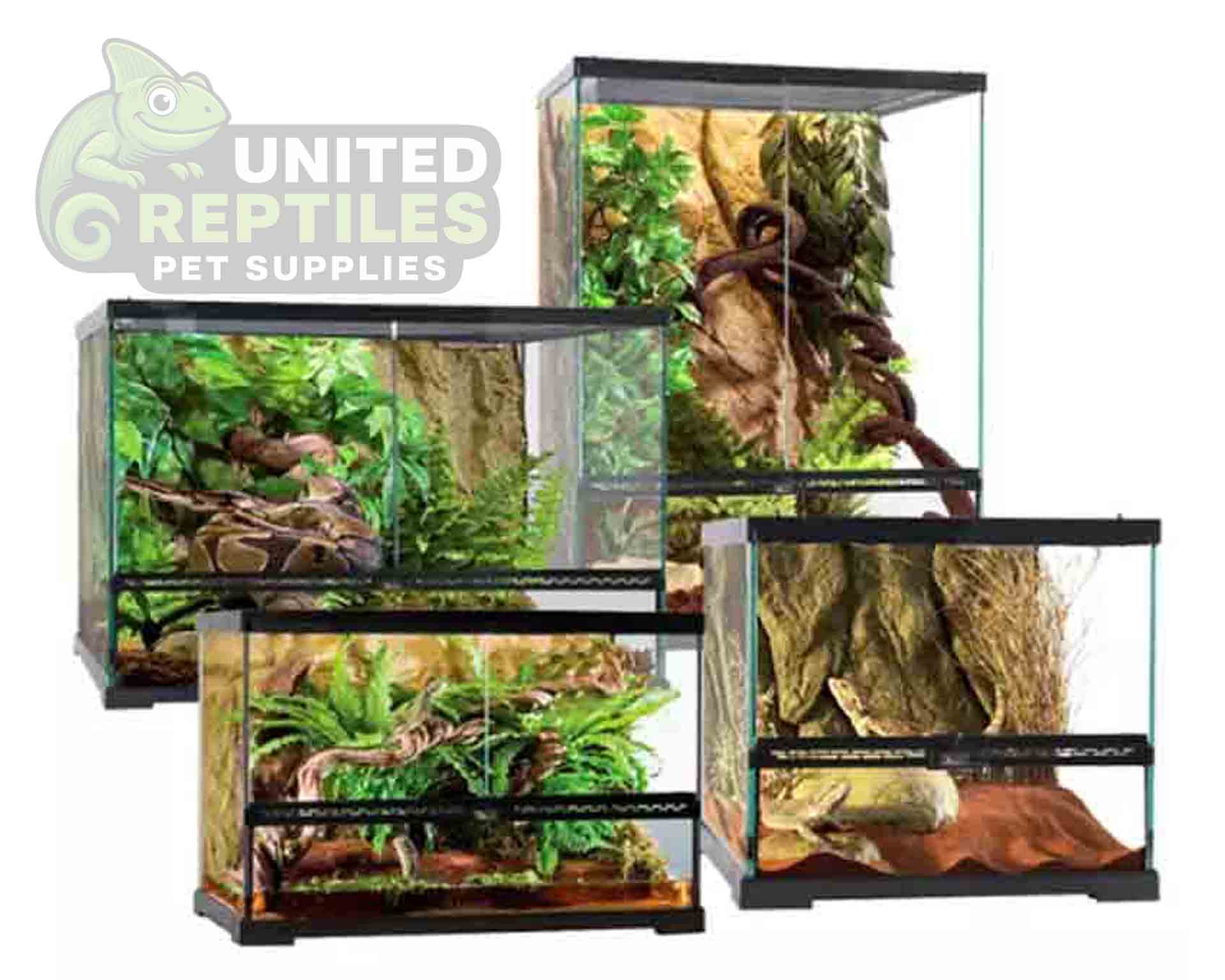 Mclanzoo Glass Terrarium Dual Doors - Image 7