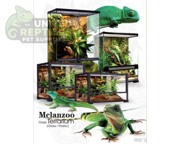 Mclanzoo Glass Terrarium Dual Doors