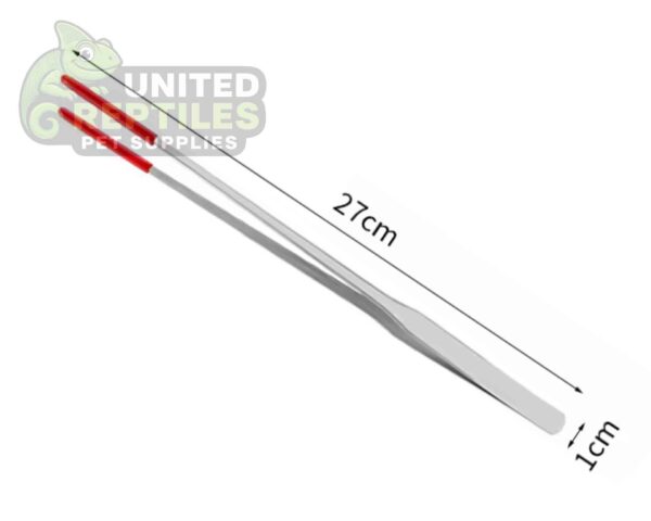 abstract hexagonal shape with lizard inside Stainless Steel Tweezer