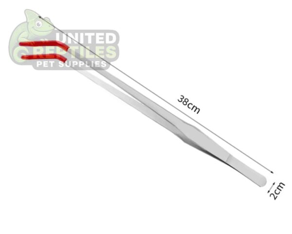 abstract hexagonal shape with lizard inside Stainless Steel Tweezer