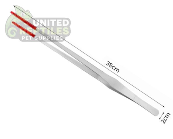 abstract hexagonal shape with lizard inside Stainless Steel Tweezer