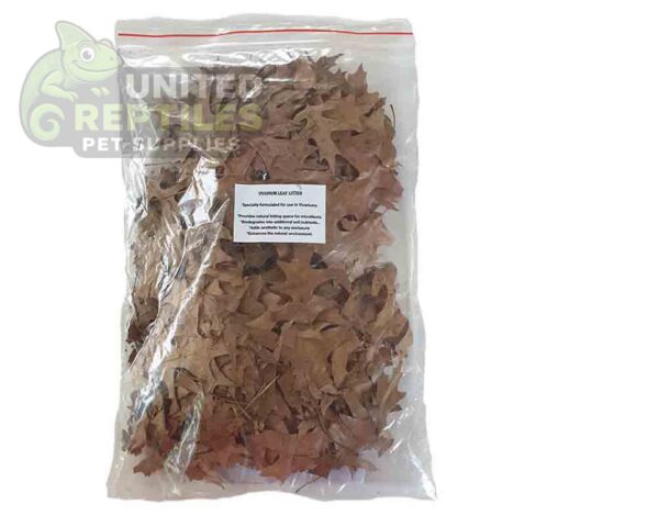 abstract hexagonal shape with lizard inside Oak Leaf Litter