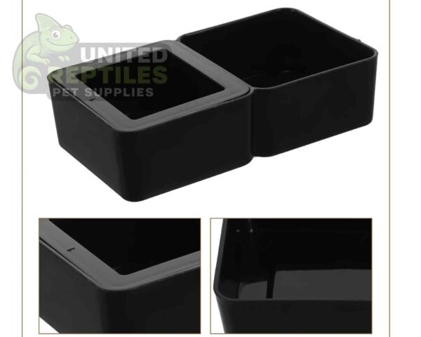 abstract hexagonal shape with lizard inside Reptile Dual Feeding Dish Black