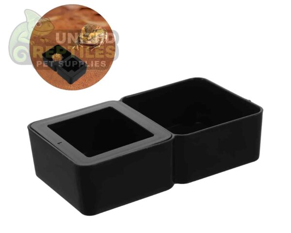 abstract hexagonal shape with lizard inside Reptile Dual Feeding Dish Black