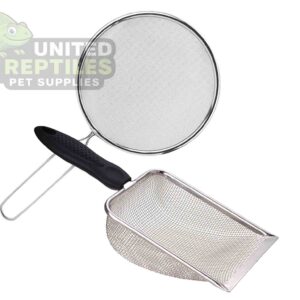 Reptile Stainless steel sand shovel