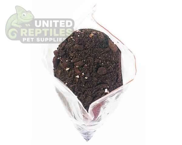 abstract hexagonal shape with lizard inside The Living Viv Bio Soil