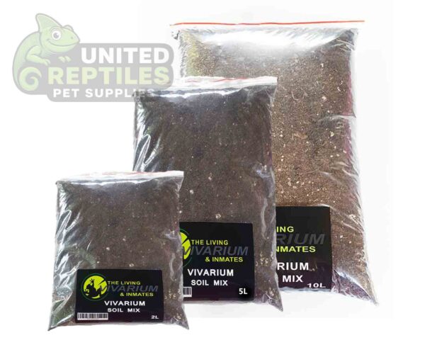 abstract hexagonal shape with lizard inside The Living Viv Bio Soil