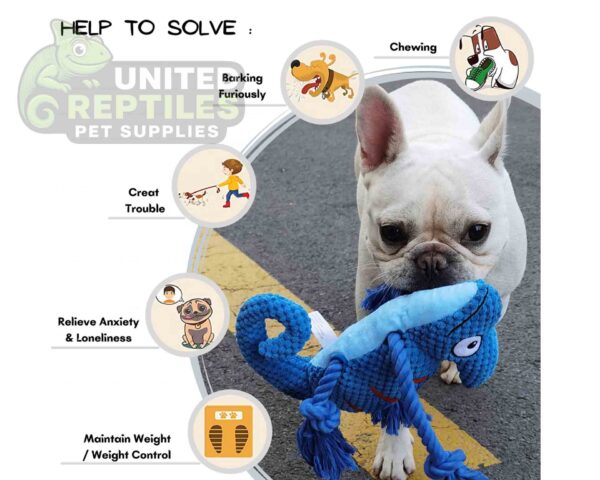 Squeaky Chameleon Rope Dog Toy (26cm) - Plush Chew & Tug Toy