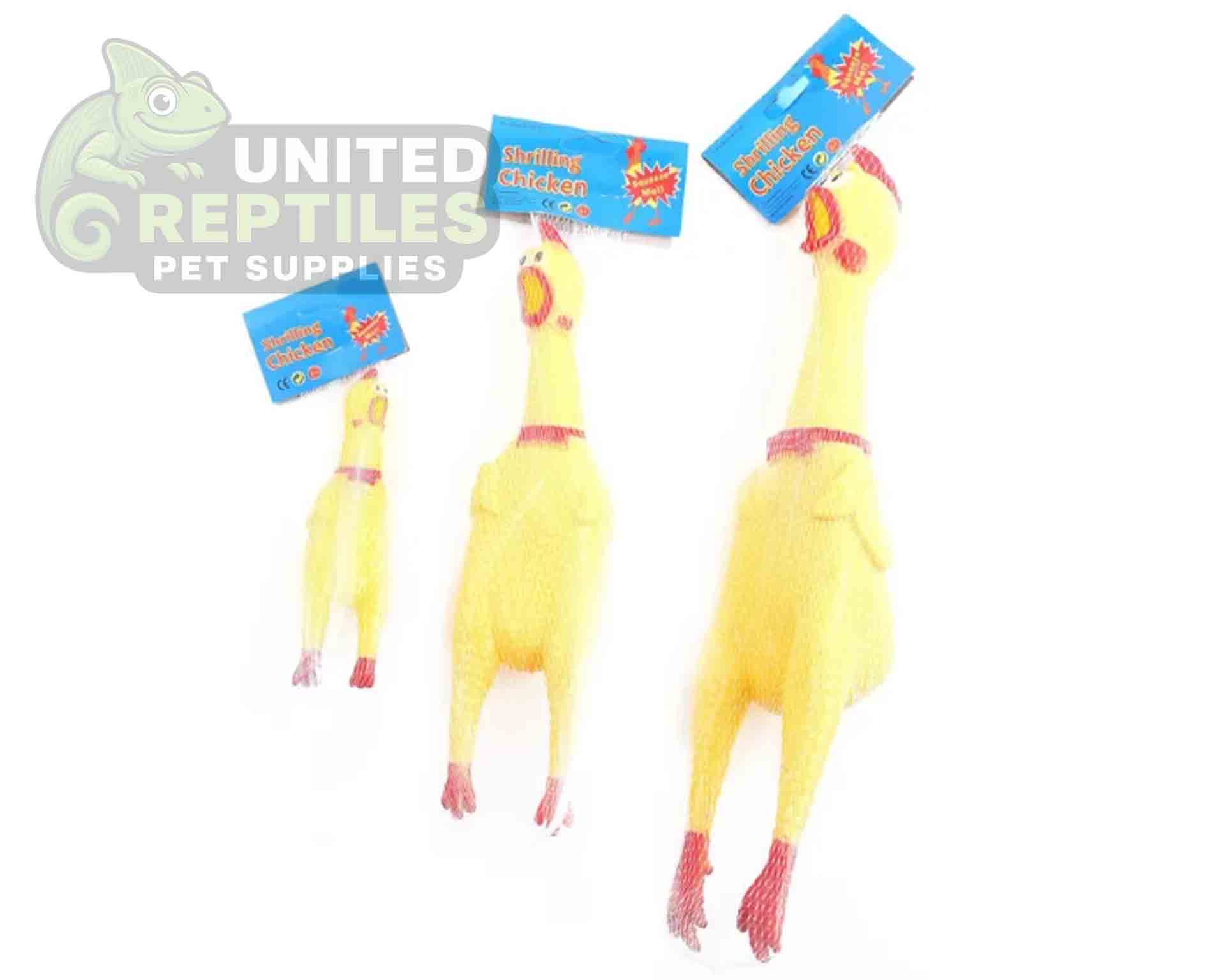Dog Toy Squeaky Chicken - Image 3