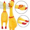 Dog Toy Squeaky Chicken