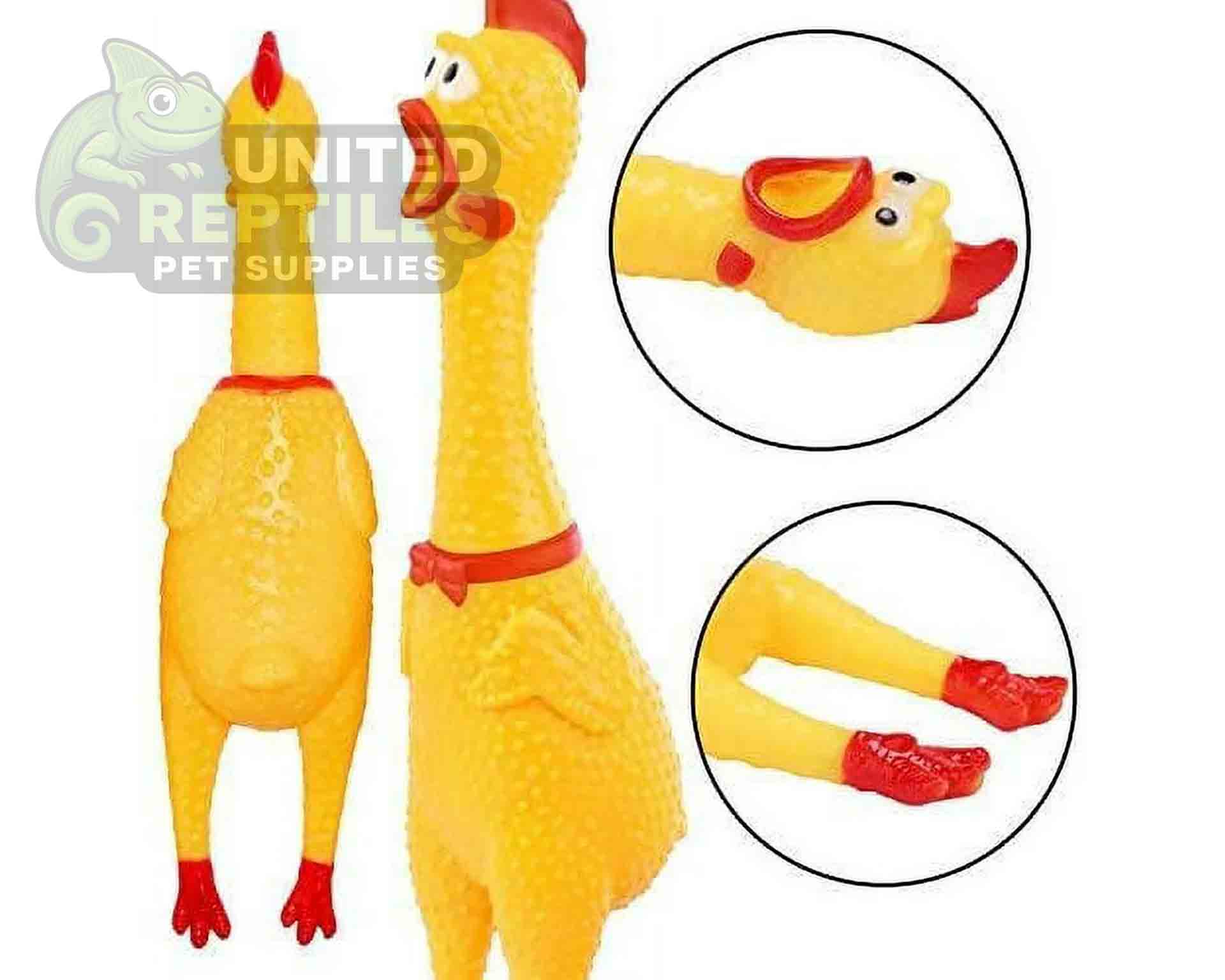 Dog Toy Squeaky Chicken - Image 4