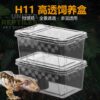 H10 & H11 Breeding Containers